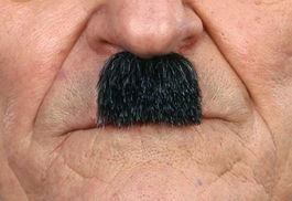 My Other Me Bigote adulto talla única