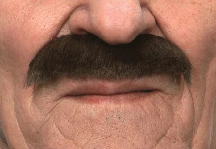 My Other Me Bigote Castaño Multicolor Talla Única Adulto