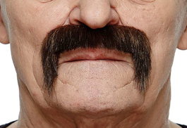 My Other Me Bigote adulto talla única