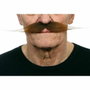 My Other Me Bigote adulto multicolor talla única