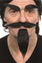 My Other Me Bigote, Perilla y Cejas Adulto Moreno Talla Única