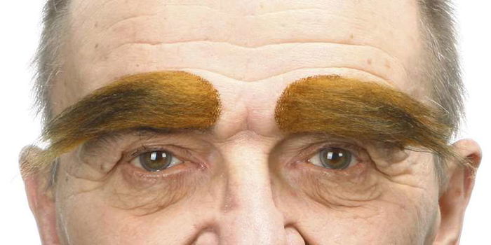 My Other Me Cejas One Size Multicolor