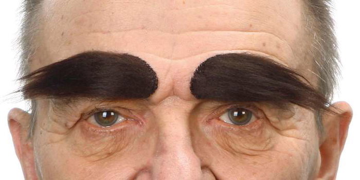 My Other Me Cejas Adulto Talla Única Multicolor Para Adultos Compatible con Español, Inglés, Francés, Italiano, Portugués, Alemán My Other Me Cejas Adulto Talla Única Multicolor Para Adultos Compatible con Español, Inglés, Francés, Italiano, Portugués, Alemán