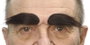 My Other Me Cejas Adulto Talla Única Multicolor Para Adultos Compatible con Español, Inglés, Francés, Italiano, Portugués, Alemán
