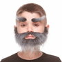 Barba postiza My Other Me Gris