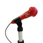 Reig Microfono de Pie con Amplificador y Guitarra Lady Bug