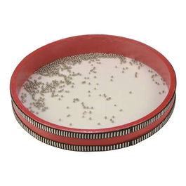 Reig Tambor Oceano 28 cm Diametro Plástico