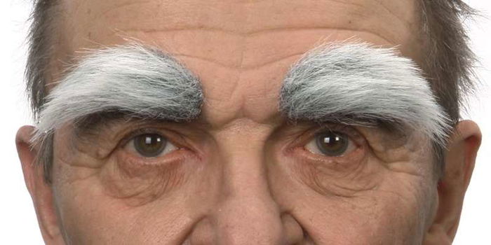 My Other Me Cejas One Size Multicolor