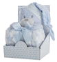 Creaciones Llopis Peluche Oso Azul 28 cm con Manta Coralina 100x75 cm en Caja Poliéster Modelos Surtidos