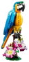 LEGO Creator Loro Exótico 31136