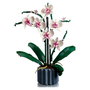 LEGO Orquídeas 10311 de la Colección Botanical