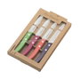 Amefa Set de 4 Cuchillos Forest Color Madera