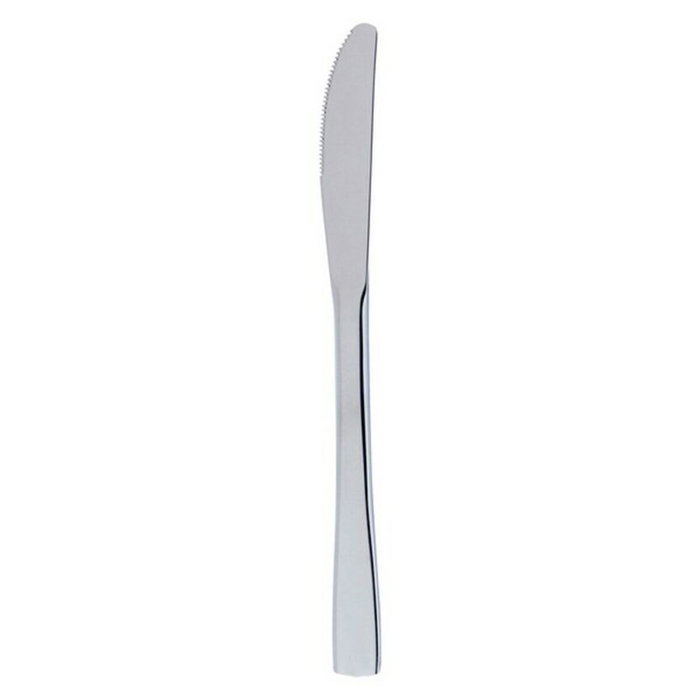 Quid Caja de 12 Cuchillos Lunch Inox Hotel 16,5 cm Acero Quid Caja de 12 Cuchillos Lunch Inox Hotel 16,5 cm Acero