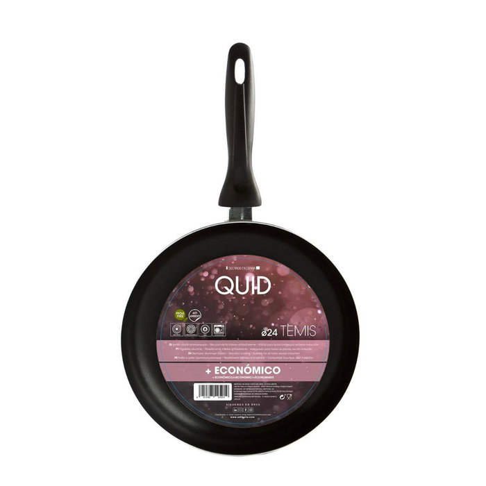 Quid Sartén de Aluminio Estampado Temis 24 cm Gris