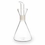 Quid Aceitera de Vidrio Sabores 0,5 L Transparente