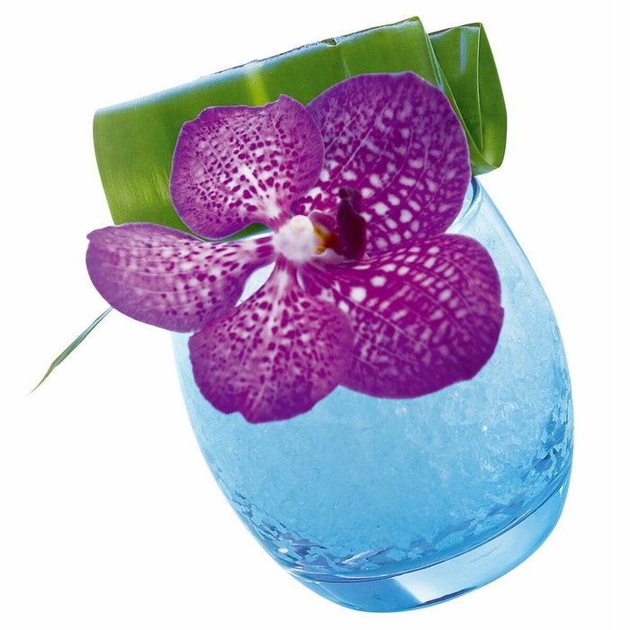 Arcoroc Salto Ice Blue Caja 6 Vasos Bajos de Vidrio 32 cL Arcoroc Salto Ice Blue Caja 6 Vasos Bajos de Vidrio 32 cL