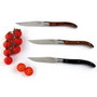 Quid Professional Cuchillo Steak Narbona 22 cm (12 Unidades)