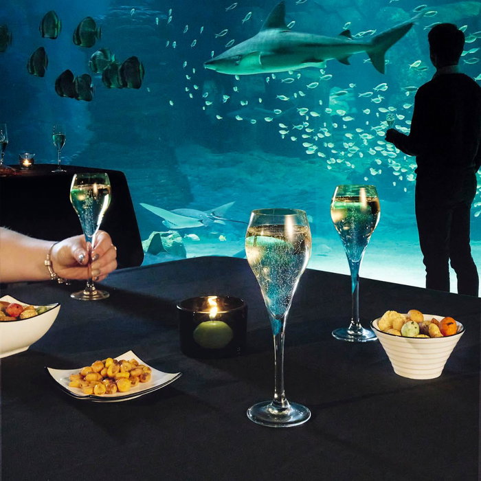 Bol Porcelana Appetizer Filet Arcoroc 9,5 cm (6 Unidades)