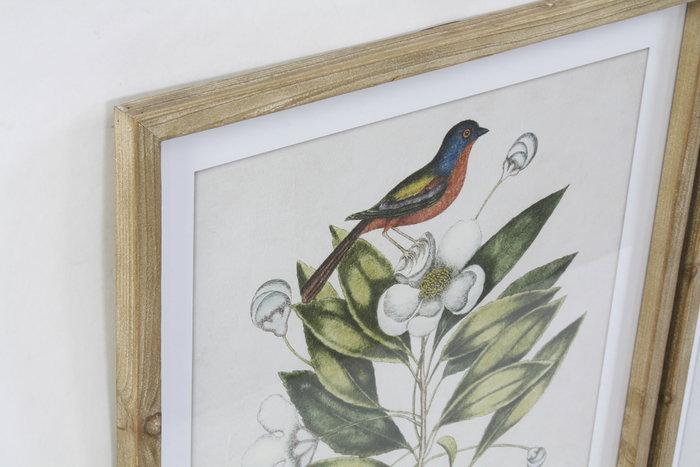 DKD Home Decor Cuadro Tropical Botanic Aves Verde Beige Abeto Cristal 55 x 70 x 2.5 cm (4 Unidades) DKD Home Decor Cuadro Tropical Botanic Aves Verde Beige Abeto Cristal 55 x 70 x 2.5 cm (4 Unidades)