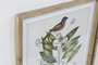 DKD Home Decor Cuadro Tropical Botanic Aves Verde Beige Abeto Cristal 55 x 70 x 2.5 cm (4 Unidades)