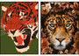 DKD Home Decor Cuadro Moderno Multicolor Tigre Leopardo Lienzo PS 72 x 52 x 2.7 cm (2 Unidades)