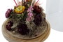 DKD Home Decor Decoración de Flores Seca y Cristal 17x17x26 cm