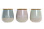 DKD Home Decor Bote Scandi Gres y Rubberwood Rosa Verde Azul 10 x 16 x 10 cm (3 Unidades)