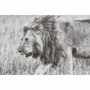 DKD Home Decor Set de 3 Cuadros Lienzo Salvaje 92,5x3,5x32 cm