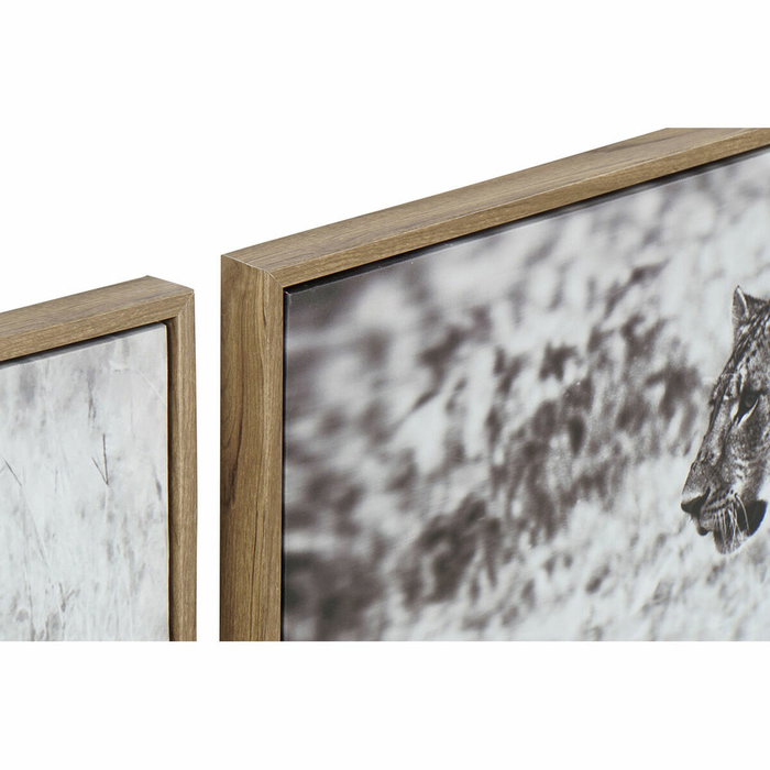 DKD Home Decor Set de 3 Cuadros Lienzo Salvaje 92,5x3,5x32 cm