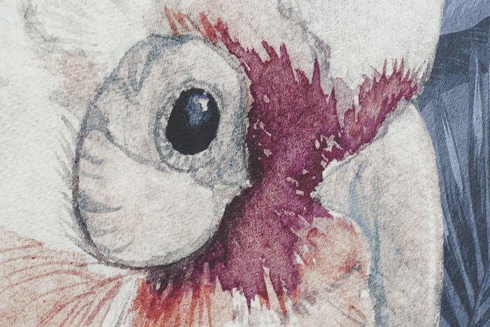 DKD Home Decor Cuadro Tropical Cacatua Lienzo Azul Blanco Marco PS Surtido Aleatorio 123 x 83 cm (2 Unidades) DKD Home Decor Cuadro Tropical Cacatua Lienzo Azul Blanco Marco PS Surtido Aleatorio 123 x 83 cm (2 Unidades)