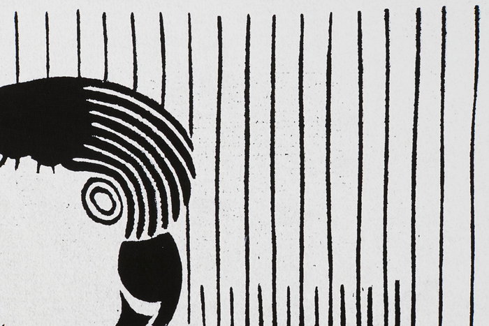 DKD Home Decor Cuadro Decorativo Moderno con Motivo Cacatua Negro Blanco 123x83 cm en PS y Lienzo (Juego de 2 Unidades Surtidas) DKD Home Decor Cuadro Decorativo Moderno con Motivo Cacatua Negro Blanco 123x83 cm en PS y Lienzo (Juego de 2 Unidades Surtidas)