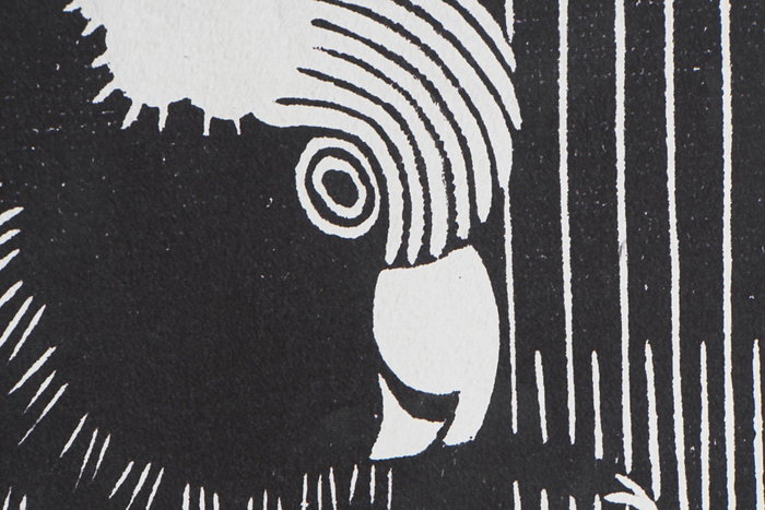 DKD Home Decor Cuadro Decorativo Moderno con Motivo Cacatua Negro Blanco 123x83 cm en PS y Lienzo (Juego de 2 Unidades Surtidas) DKD Home Decor Cuadro Decorativo Moderno con Motivo Cacatua Negro Blanco 123x83 cm en PS y Lienzo (Juego de 2 Unidades Surtidas)