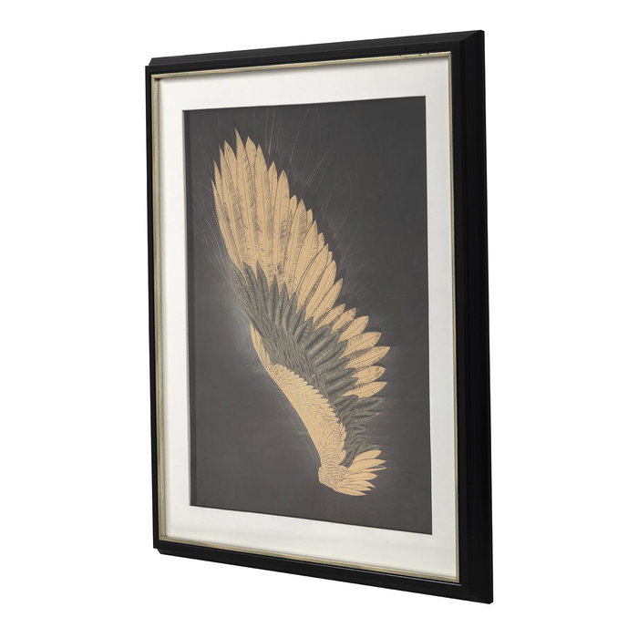 DKD Home Decor Cuadro de Alas Enmarcado Negro y Dorado 63x3,5x53 cm