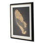 DKD Home Decor Cuadro de Alas Enmarcado Negro y Dorado 63x3,5x53 cm