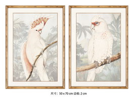 DKD Home Decor Set de 2 Cuadros Cacatúa con Cristal y MDF 50x70 cm de Estilo Tropical