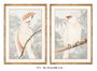 DKD Home Decor Set de 2 Cuadros Cacatúa con Cristal y MDF 50x70 cm de Estilo Tropical