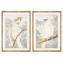 DKD Home Decor Set de 2 Cuadros Cacatúa con Cristal y MDF 50x70 cm de Estilo Tropical