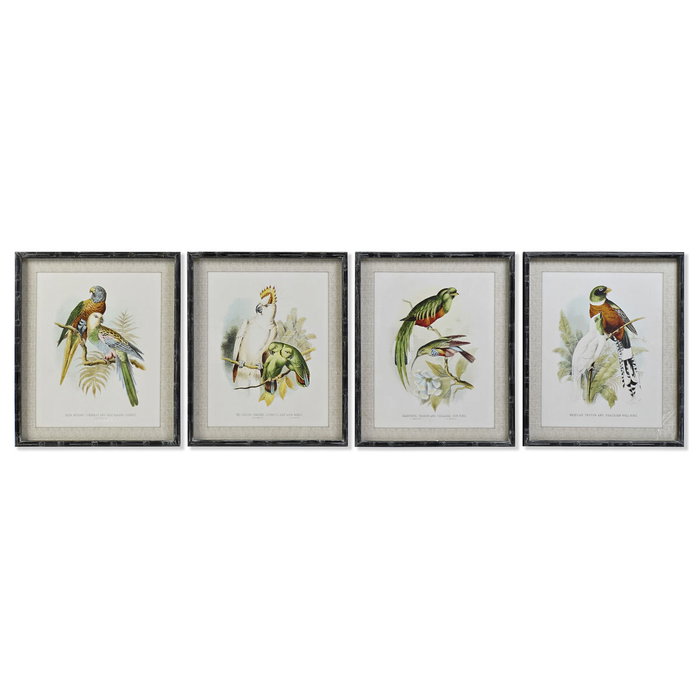 Cuadro DKD Home Decor 50 x 2 x 60 cm Pájaros Moderno (4 Piezas)