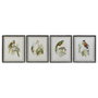 Cuadro DKD Home Decor 50 x 2 x 60 cm Pájaros Moderno (4 Piezas)