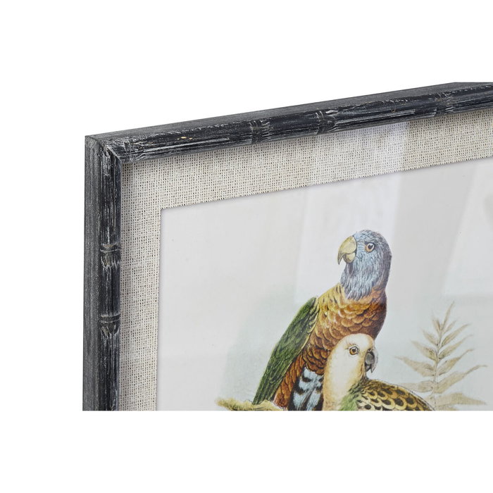 Cuadro DKD Home Decor 50 x 2 x 60 cm Pájaros Moderno (4 Piezas)