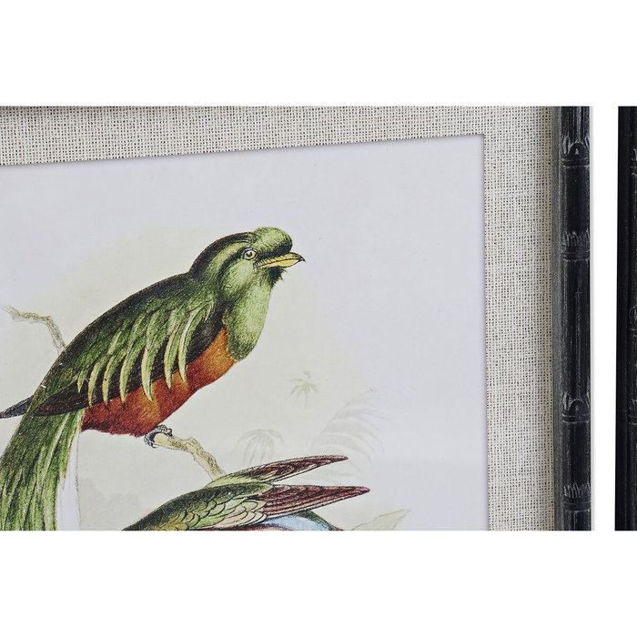 Cuadro DKD Home Decor 50 x 2 x 60 cm Pájaros Moderno (4 Piezas)