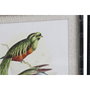 Cuadro DKD Home Decor 50 x 2 x 60 cm Pájaros Moderno (4 Piezas)