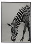 DKD Home Decor Espejo de Pared con Diseño de Cebra Impreso 60x80 cm