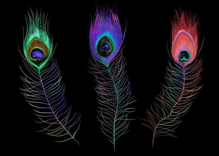 DKD Home Decor Bandeja LED Plumas Pavo Real Negro