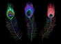 DKD Home Decor Bandeja LED Plumas Pavo Real Negro