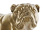 DKD Home Decor Figura Bulldog Dorado Resina 17 x 23 x 38 cm (2 Unidades)