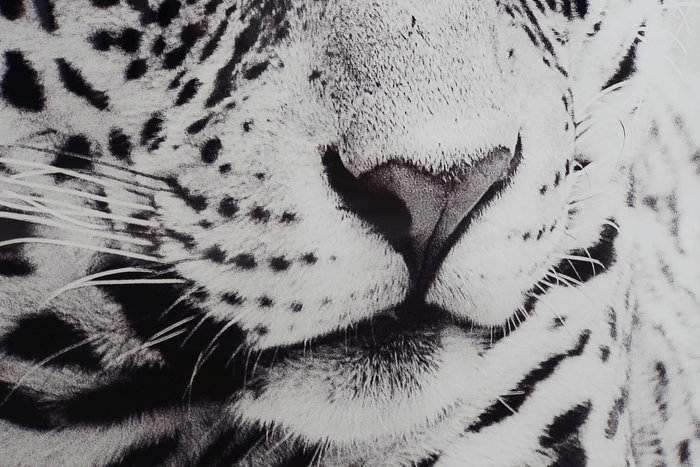 DKD Home Decor Cuadro Leopardo Negro Blanco Cristal Aluminio 100 x 100 cm (2 Unidades)