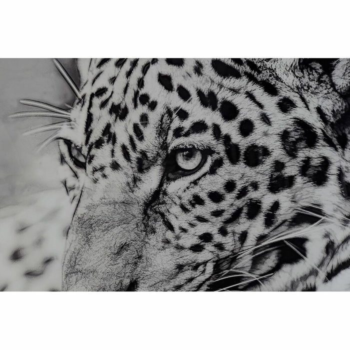 DKD Home Decor Set de 2 Cuadros de Cristal Leopardo 100x100 cm