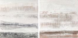 DKD Home Decor Cuadro Lienzo Pino Abstracto Surtido de 2 Unidades Beige y Gris