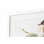 DKD Home Decor Set de 4 Cuadros de Cristal y MDF Diseño Pájaro 60x60 cm